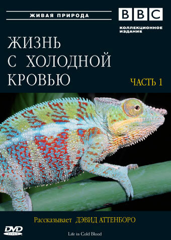 BBC: Жизнь с холодной кровью (2008)